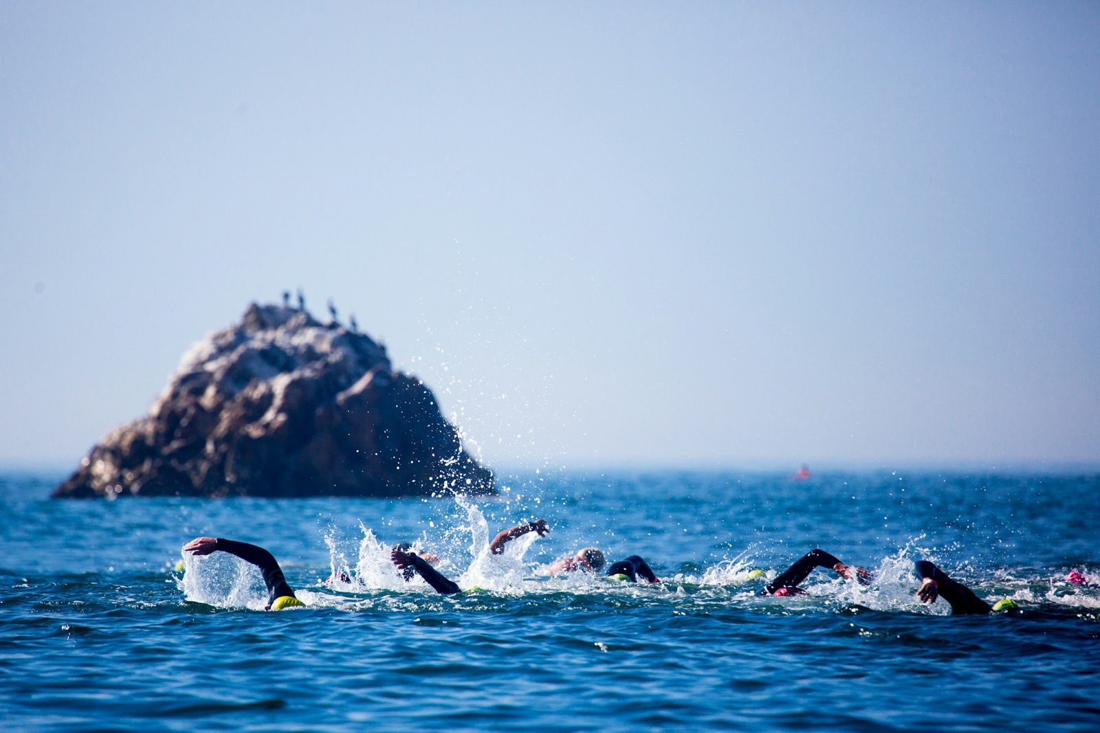 Open-water swimmers training together in the sea.