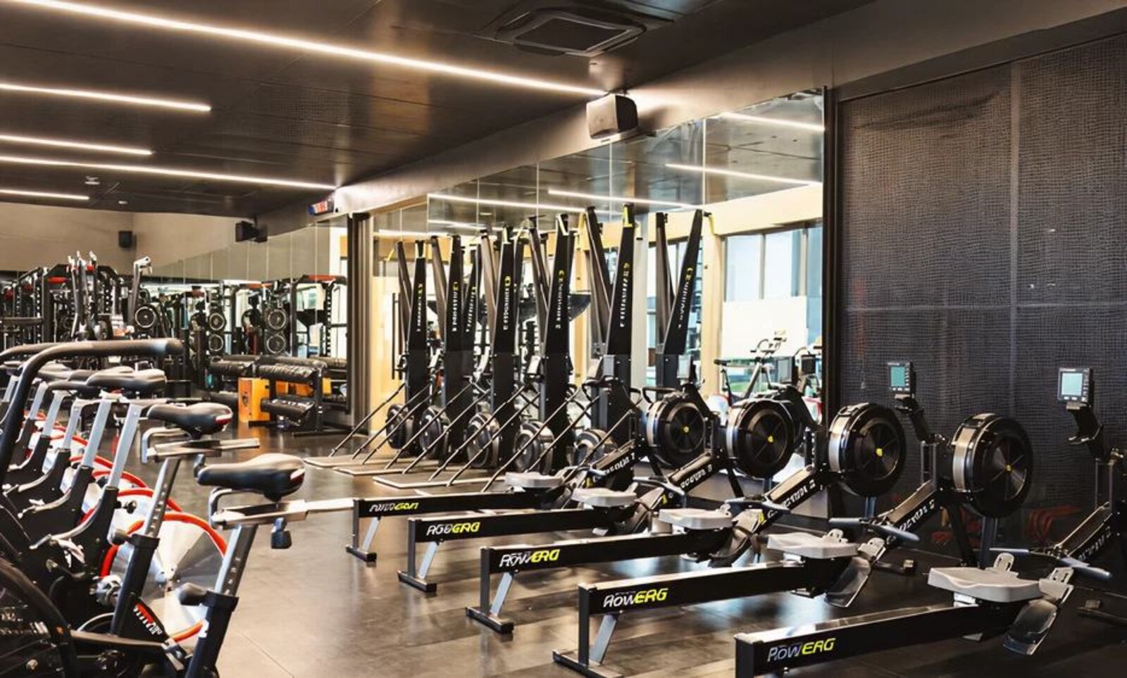 High-performance gym equipped with premium training machines at our partner facility in Asia
