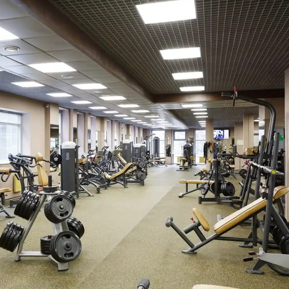 High-performance gym facility with elite training equipment in the UAE