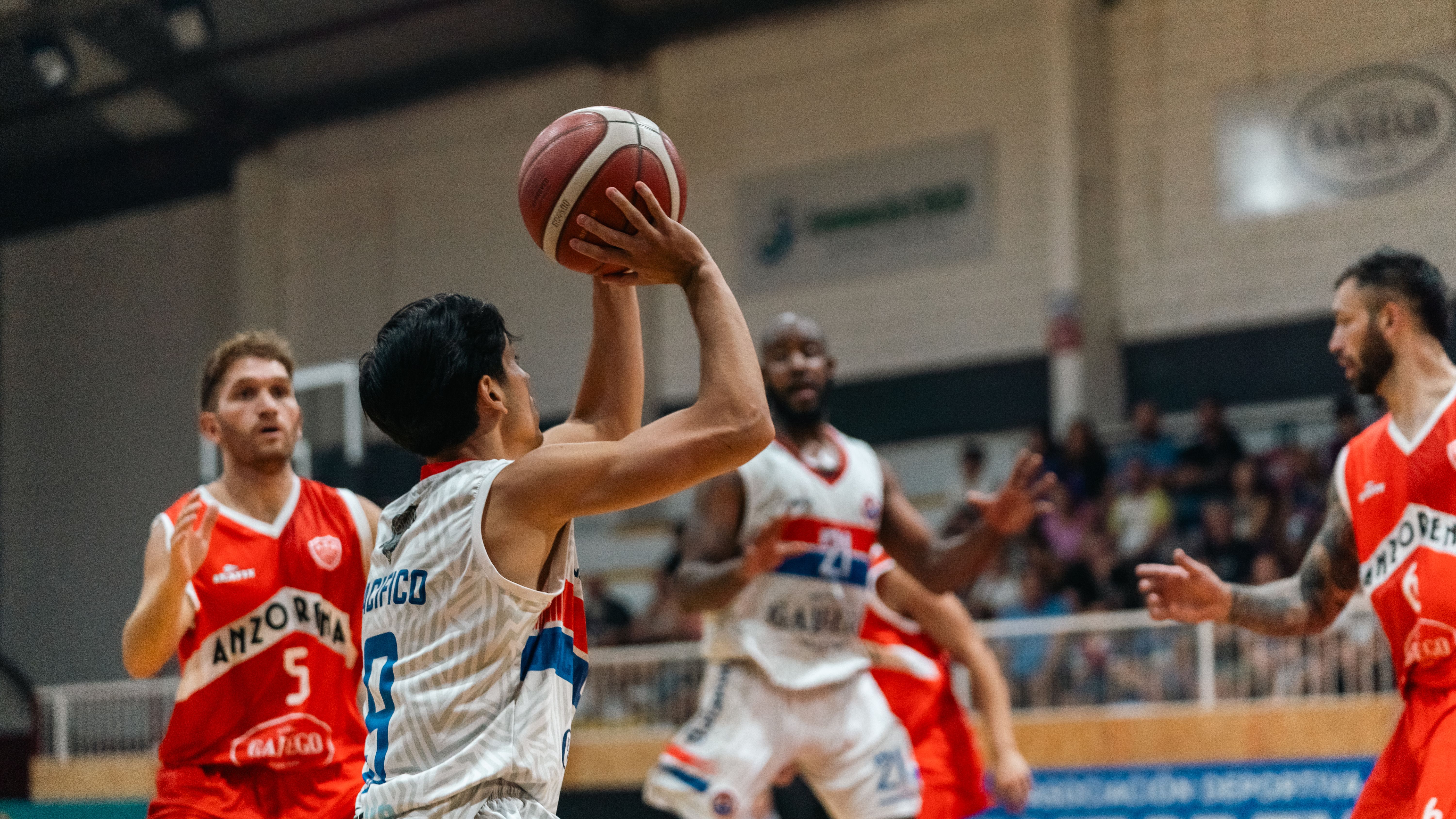 Basketball with Olimpia Tour