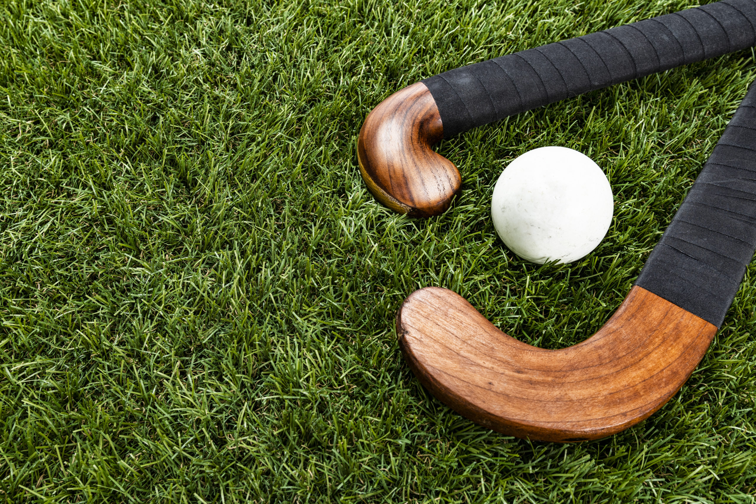 Hockey with Olimpia Tour