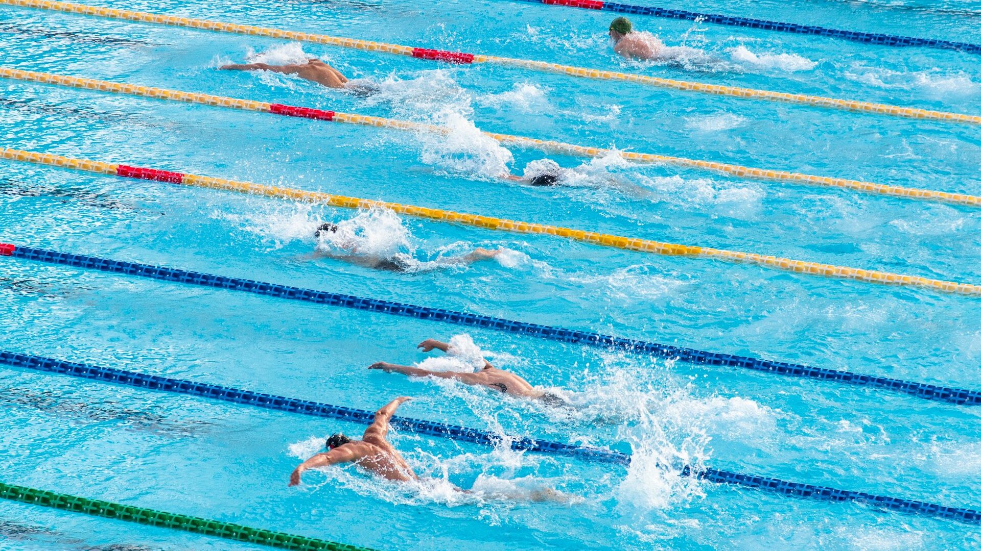 Swimmers training in lanes of a long-course pool