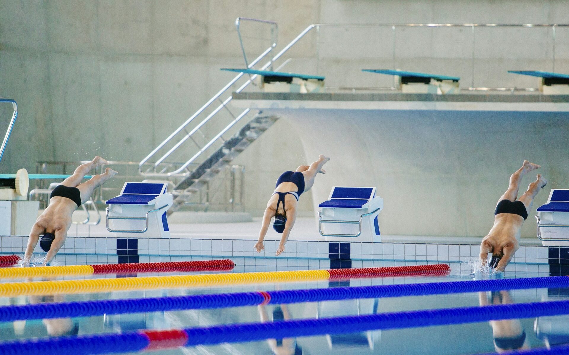 Swimmers diving off the starting blocks in a long-course pool